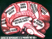 Représentation du cerveau motard