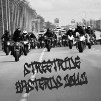 streetride-basterds-2012-freeride-elodie-saccone-34