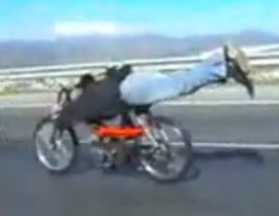 record-135-km-h-en-mobylette
