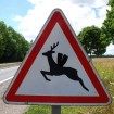 panneau danger cerf volant