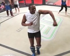 harlem shake ufc