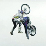 bike flip tom pages fmx