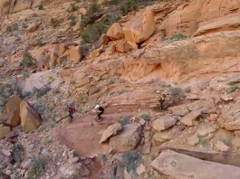 freeride monocycle