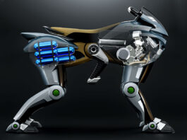 kawasaki corleo