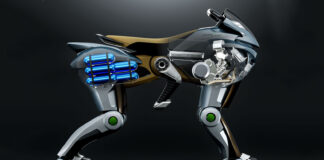 kawasaki corleo