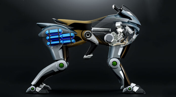 kawasaki corleo