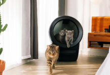 test litière connectée whisker litter robot 4