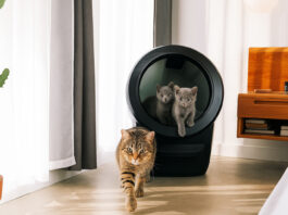 test litière connectée whisker litter robot 4