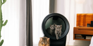 test litière connectée whisker litter robot 4