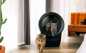 test litière connectée whisker litter robot 4