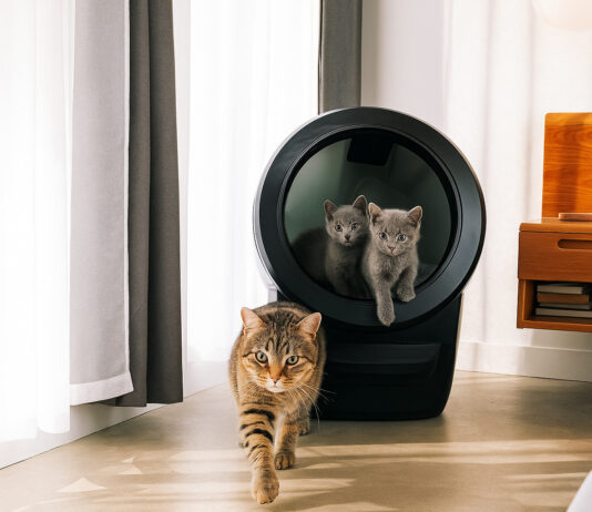 test litière connectée whisker litter robot 4