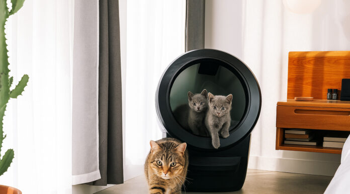 test litière connectée whisker litter robot 4