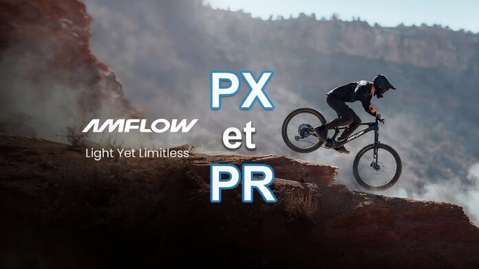 présentation amflow px pr dji avinox m2s hd