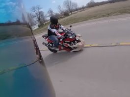 Un chien coupe la route à un rassemblement de motards motard percute chien