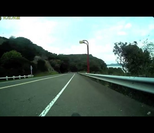 Chevreuil VS cycliste