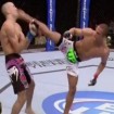 barboza spinning wheel kick